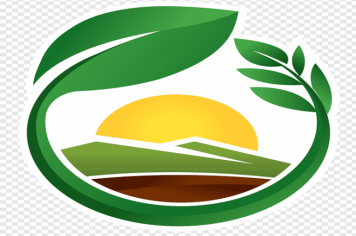INSTRUÇÃO NORMATIVA SEAPI Nº 15/2024 - PRAZO ATUALIZAÇÃO CADASTRAL  - 31 DE JULHO DE 2024