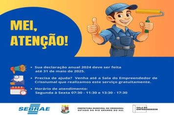 Declaração Anual do MEI – Ano-Calendário 2024 