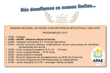 APAE 2013 - Participe