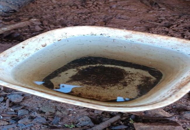 A Secretaria de Saúde de Crissiumal alerta para novos casos de DENGUE